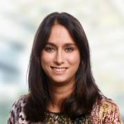 Angelique van Lieshout