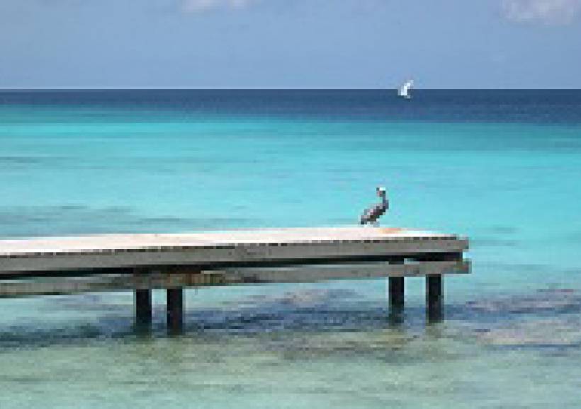 Altijd onbezorgd op vakantie