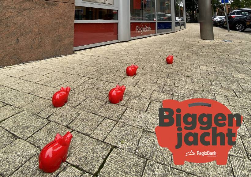 Op Biggenjacht in Oosterhout